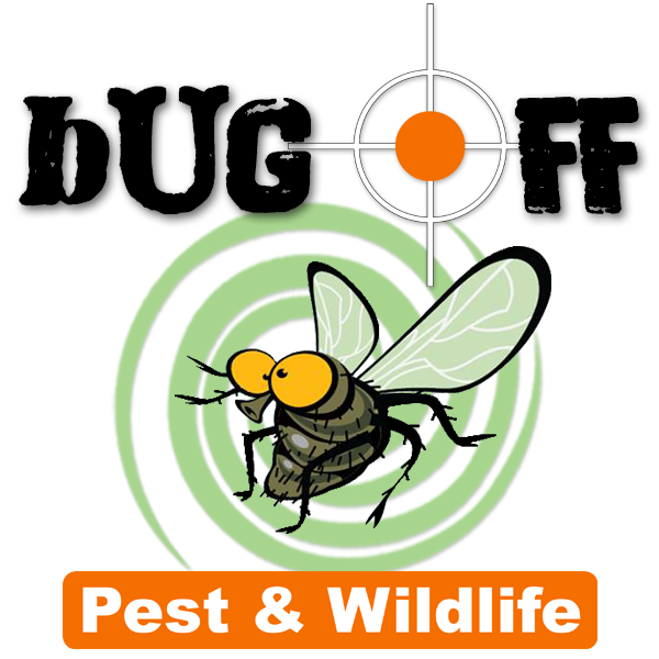 BugOff Logo